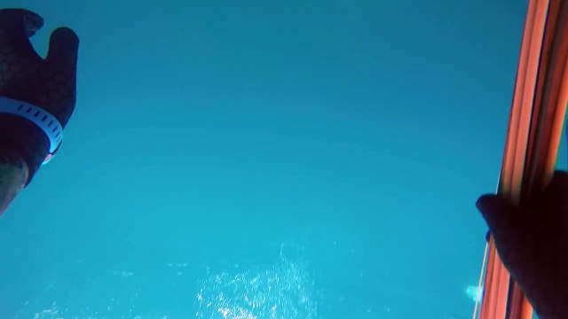 Un pêcheur australien attaqué par un requin