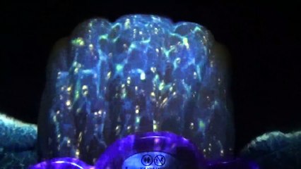 Californie 2016 - Bonus : Ariel's Undersea Adventures - Disney California Adventure Park