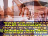 TCM Therapy Massage Service In Singapore