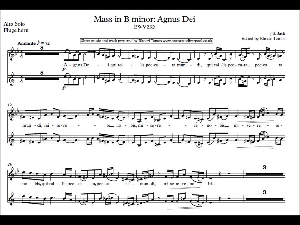 [Accompaniment] Bach Mass in B minor "Agnus Dei" [Sheet music & lyrics]