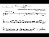 [Accompaniment] Bach / Vivaldi BWV972 / RV230 Concerto in D major 1. Allegro [Sheet music]