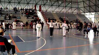 Combattimento Campionato Italiano di Taekwondo 29/03/09