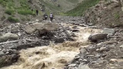 Sele Kapılan 800 Küçükbaş Hayvan Telef Oldu