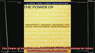 different   The Power of Consistency Prosperity Mindset Training for Sales and Business Professionals