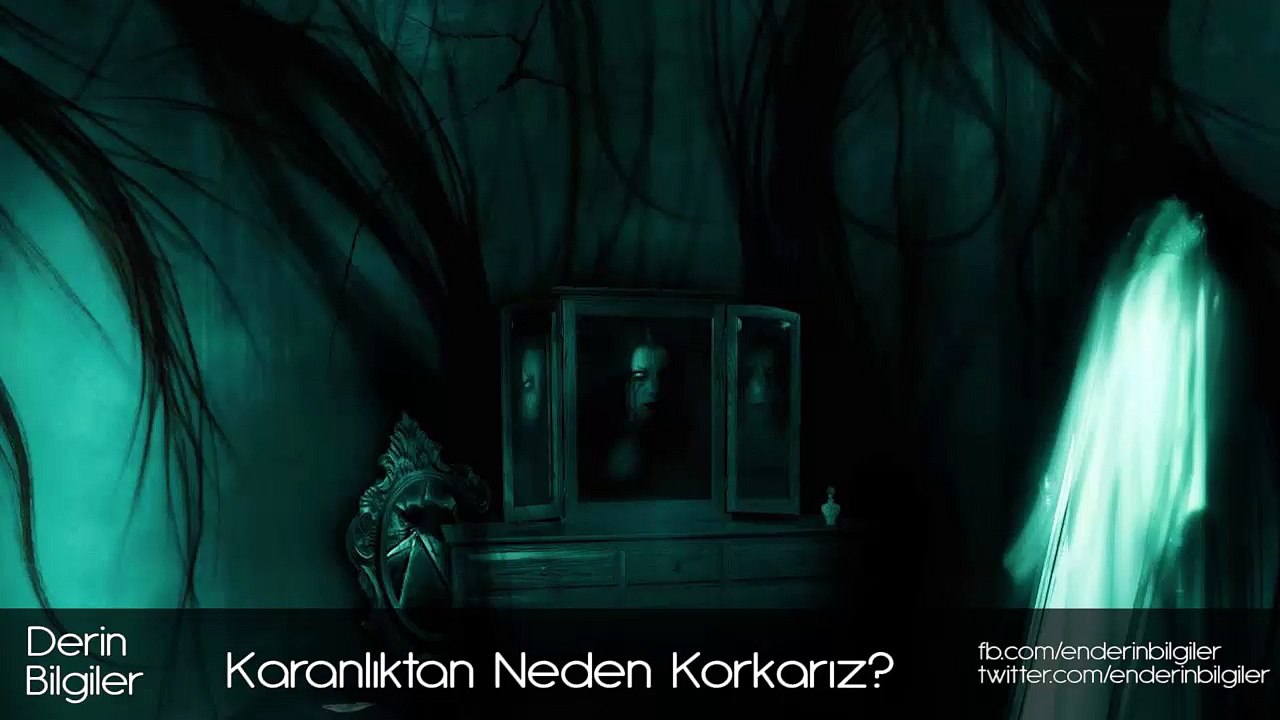 Karanlıktan Neden Korkarız?