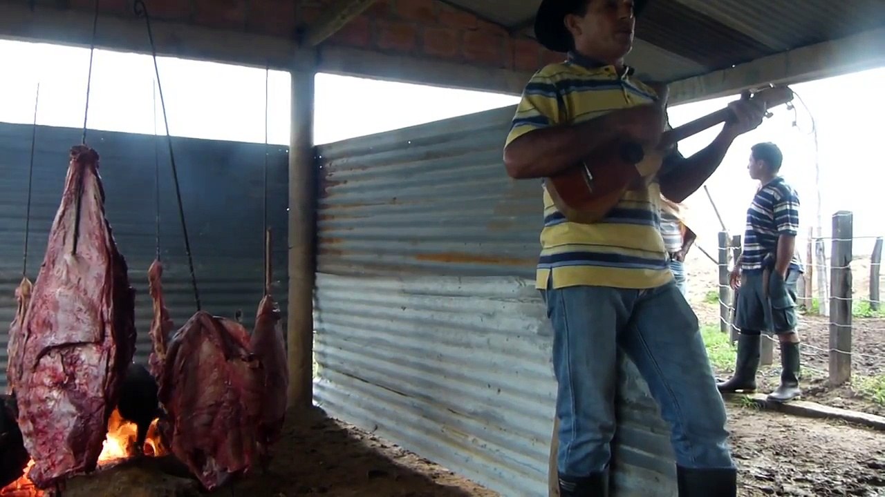 Ernesto Delgado Chavita - Guayabo de 15 Dias.