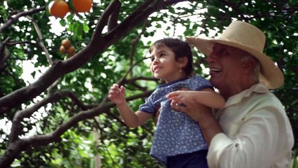 Swansea City estaría interesado en Enner Valencia