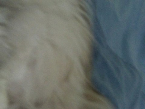 matila quand elle dort.... elle ronfle