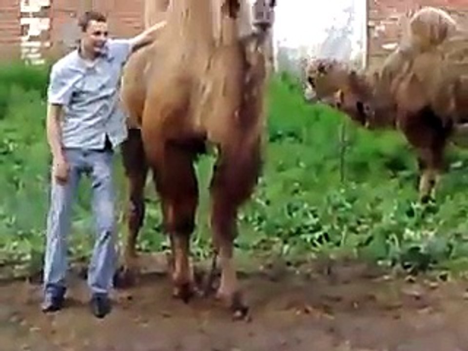 KAMAL KI SAWARI