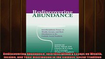 For you  Rediscovering Abundance Interdisciplinary Essays on Wealth Income and Their Distribution