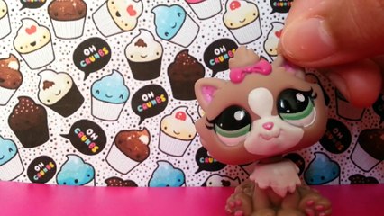 Çizdiğim miniş resimleri | LPSEM miniş