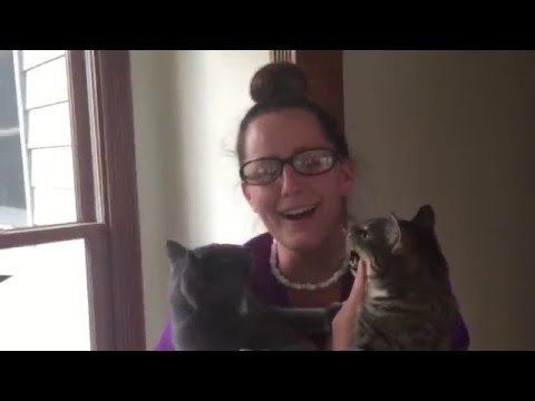 Husband Surprises Wife With Cat Reunion