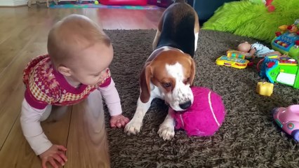 I will Always Be By Your Side   Dog and baby learning how to love