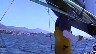 WASABI Onboard Hobart 09 Video #15