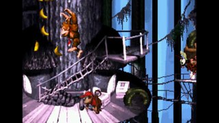 Donkey Kong Country - Level 22 - Rope Bridge Rumble