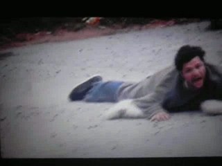 jakass descent de toit en skate