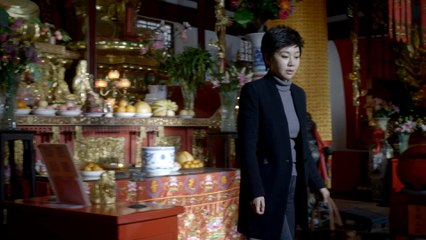 【爱的追踪】Atonement 09 九十年代中国经济大潮中进行情与法的纠葛与较