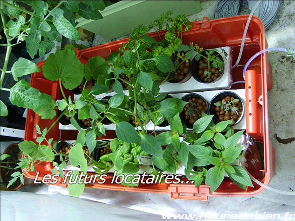 Video de présentation de l'hydrotown - Version finale