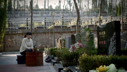 【爱的追踪】Atonement 10 九十年代中国经济大潮中进行情与法的纠葛与较