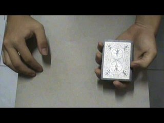 Entry for mismag822's contest no.26 - jumping gemini