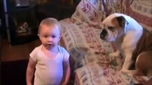 Ce bébé tente de parler au bulldog, mais regardez bien la fin de la vidéo -- MDR !