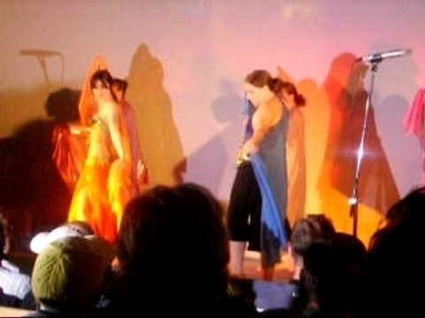 Danse orientale, spectacle de fin d'année