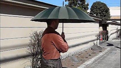 新感覚！２４本骨傘１本