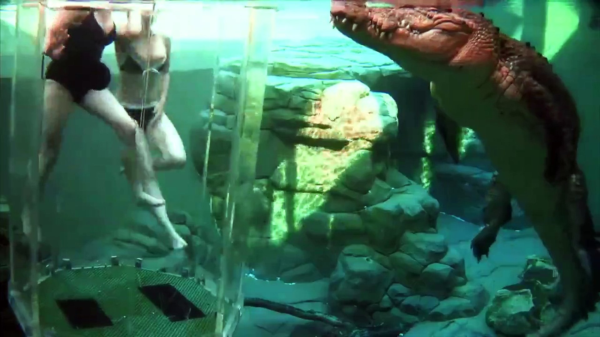 ⁣Развлечение Клетка смерти в Австралии