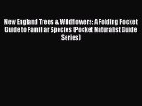 Read New England Trees & Wildflowers: A Folding Pocket Guide to Familiar Species (Pocket Naturalist