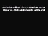 Read Aesthetics and Ethics: Essays at the Intersection (Cambridge Studies in Philosophy and