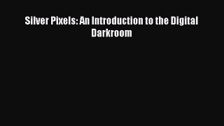 Read Silver Pixels: An Introduction to the Digital Darkroom Ebook Free
