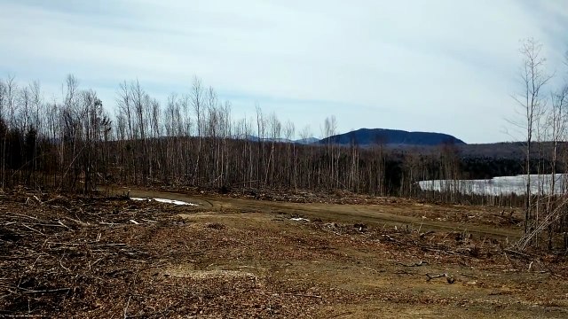 Maine Land For Sale 17 acres in Mount Chase