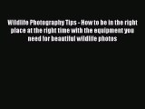 Read Wildlife Photography Tips - How to be in the right place at the right time with the equipment