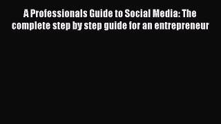 Read Book A Professionals Guide to Social Media: The complete step by step guide for an entrepreneur