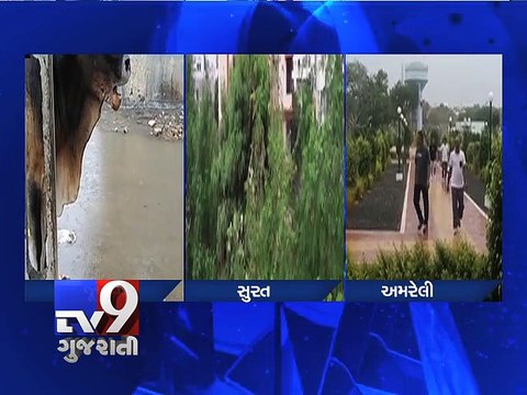 Parts of Gujarat receive rains as monsoon sets in - Tv9 Gujarati