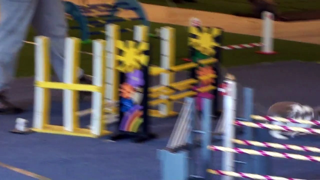 Glädjens Min Dyrbara Skatt - Lund 26/11 - 2011