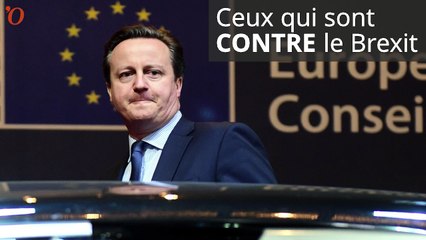 Brexit : qui est pour et qui est contre ?