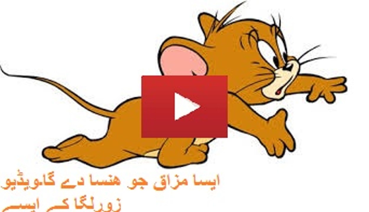 Top Funny Videos 2015 - Funny vines 2015 -