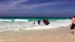 République dominicaine : ils maltraitent un requin pour faire plaisir aux touristes