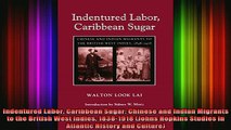 READ book  Indentured Labor Caribbean Sugar Chinese and Indian Migrants to the British West Indies Full EBook