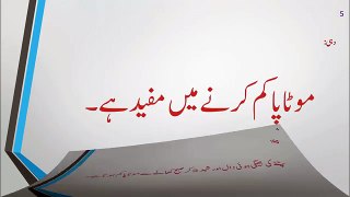 7 Weight Loss Tips in Urdu موٹاپا کم کرنے کیں سات آسان طریقے by Weight Loss Strategies