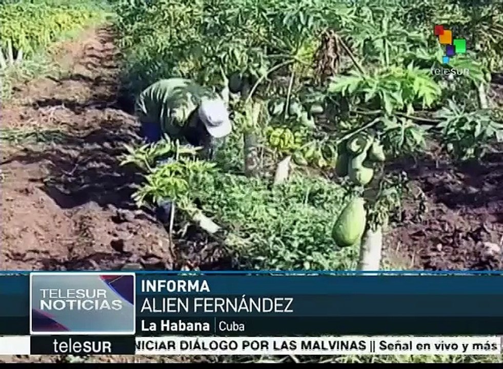 Cuba: gobierno otorga tierras en usufructo para actividad agrícola