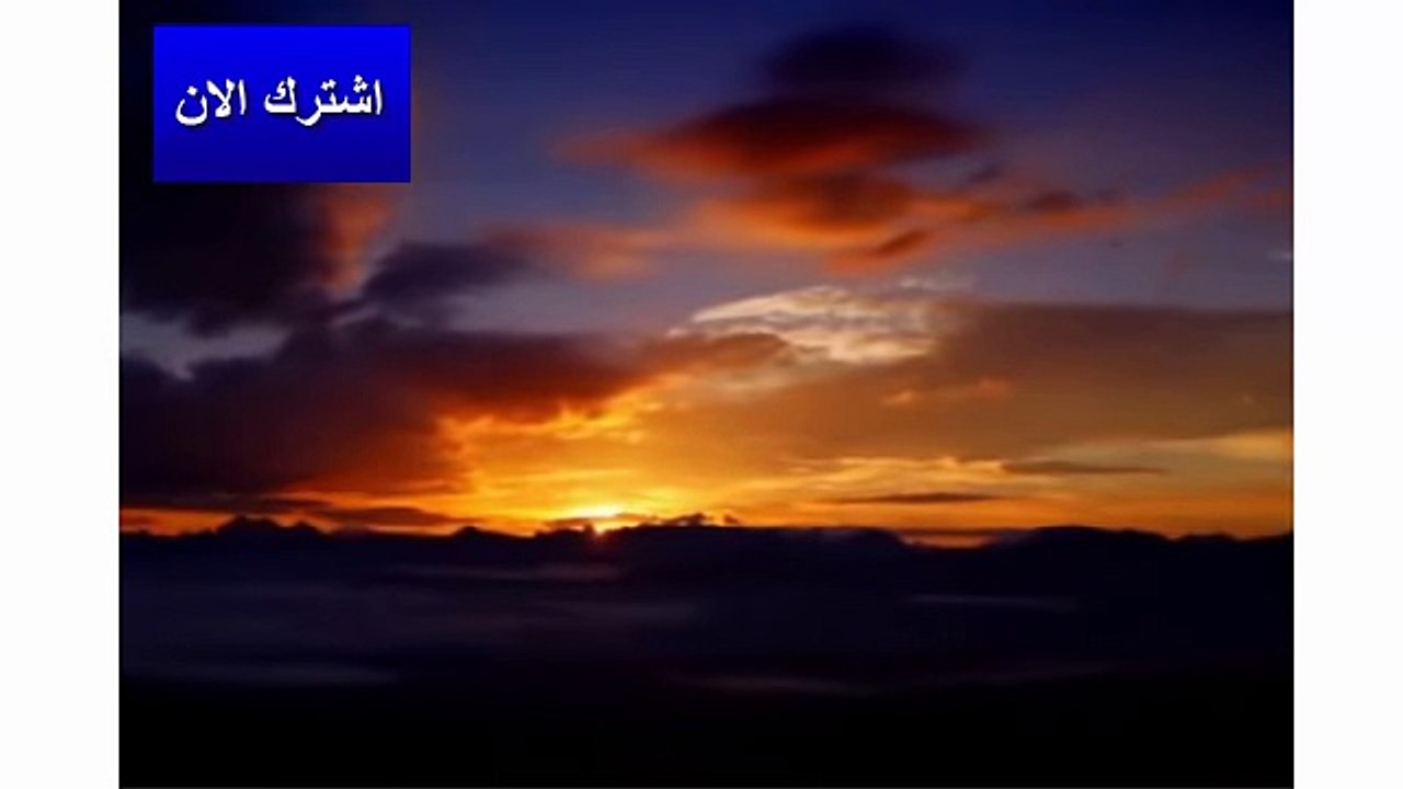 أقوى فتراس مرعب الضحية الحمار الوحشي-- - يستحق المشاهدة !! -