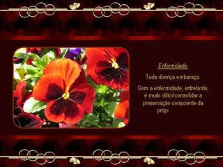 CHAVES LIBERTADORAS 27 06 07 09 03 15 56 wmv