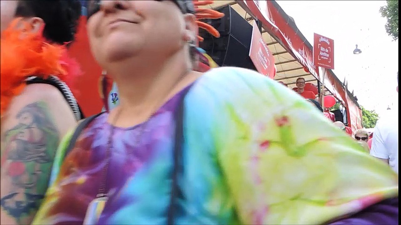 Die Wiener Regenbogenparade 2016