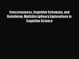 Read Consciousness Cognitive Schemata and Relativism: Multidisciplinary Explorations in Cognitive