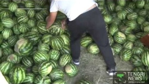 Поющий продавец арбузов из Казахстана взорвал интернет ))