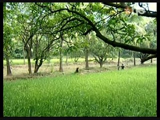 Samrat and Gunjan - Yeh Zindagi