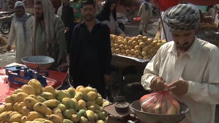 صعوبات تواجه تصدير المانغو الباكستاني