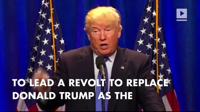 Paul Ryan: ‘It’s not my job to tell delegates what to do’